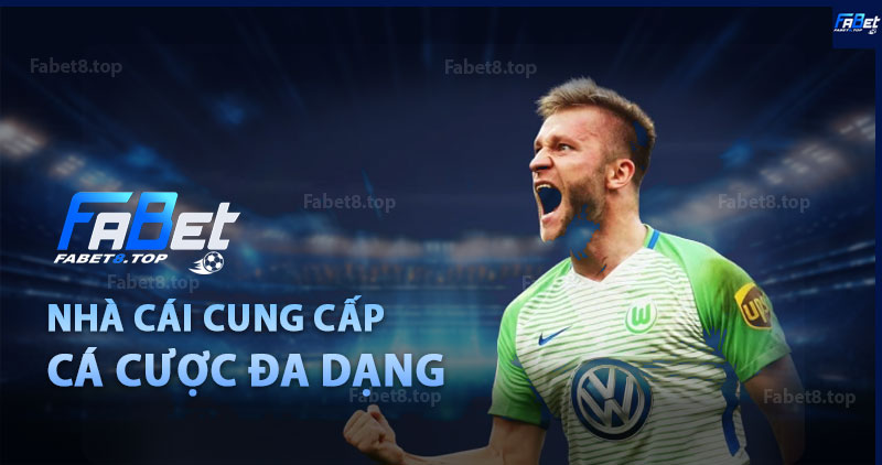 Nhà cái cung cấp hệ sinh thái cá cược đa dạng